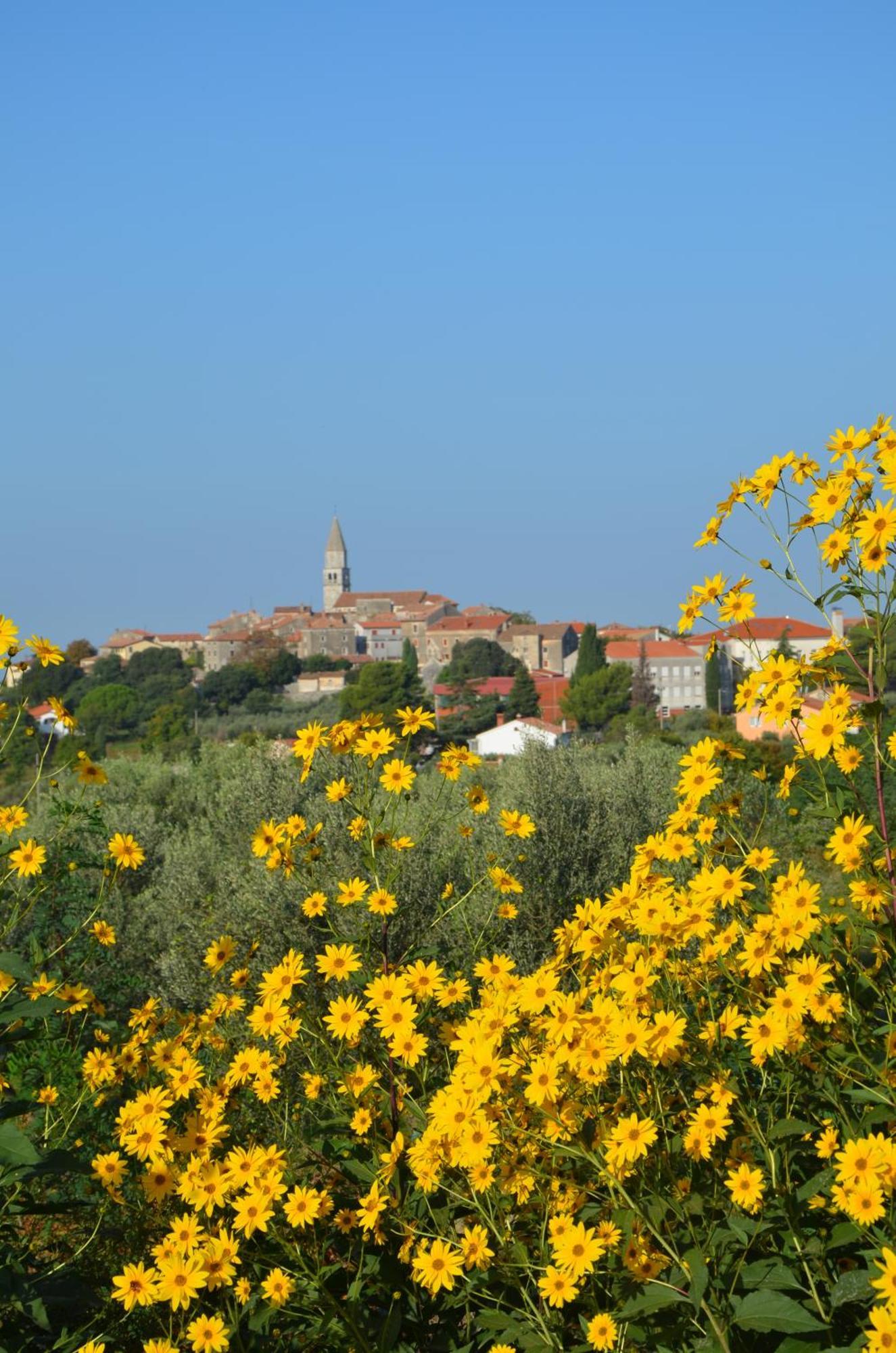 Barat  Villa Leopoldo By Istrian Country Houses מראה חיצוני תמונה