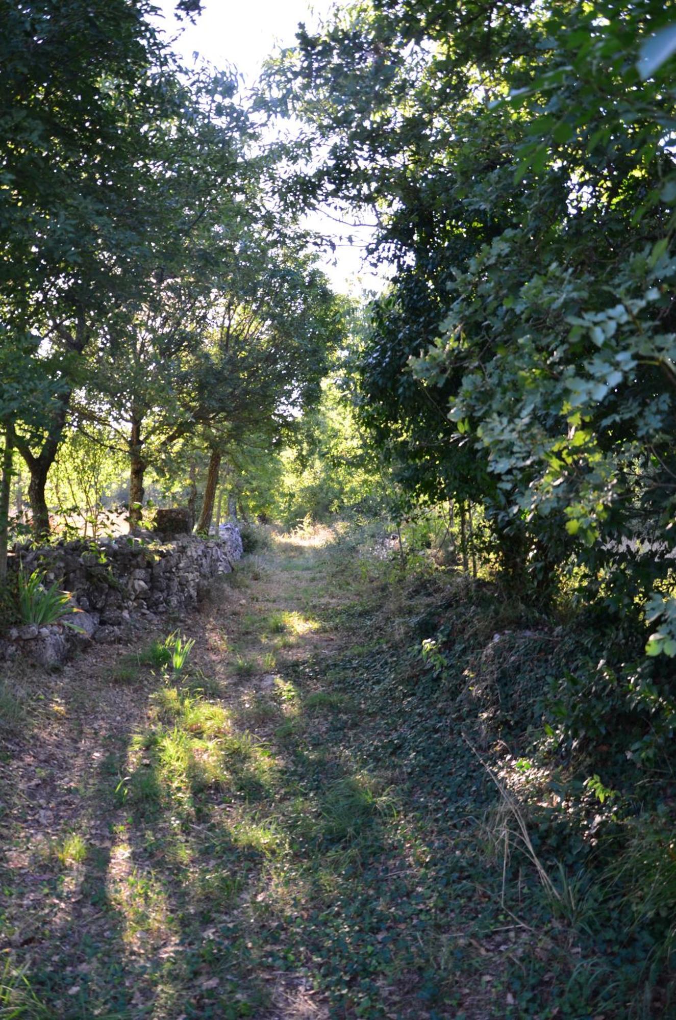 Barat  Villa Leopoldo By Istrian Country Houses מראה חיצוני תמונה