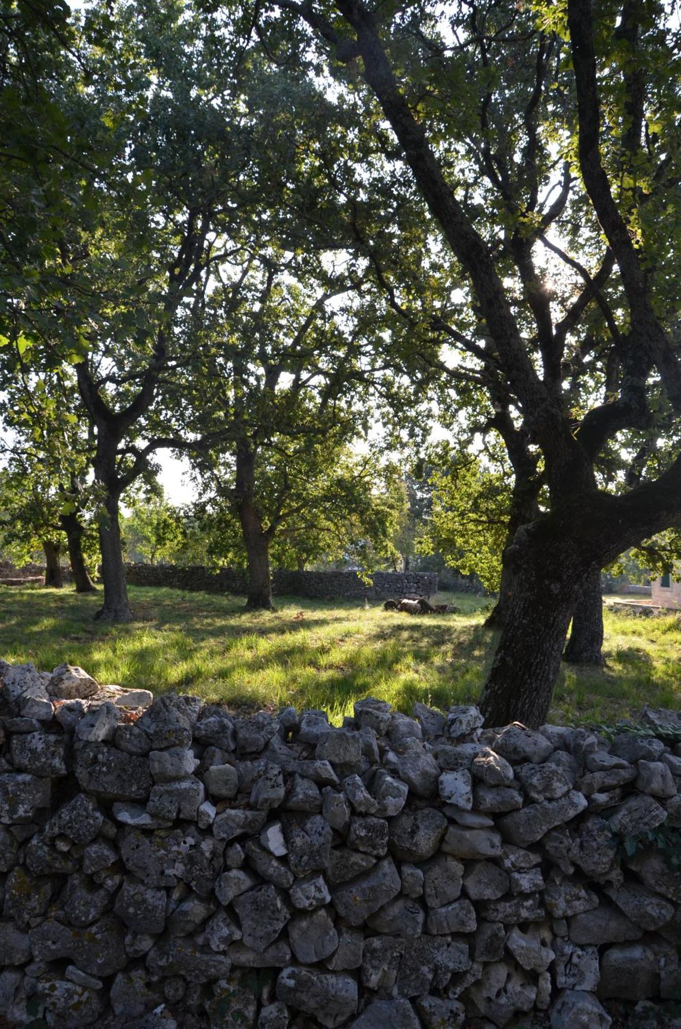 Barat  Villa Leopoldo By Istrian Country Houses מראה חיצוני תמונה